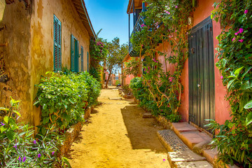 Street on Gorée island, Senegal, Africa. They are colorful stone houses overgrown with many green...