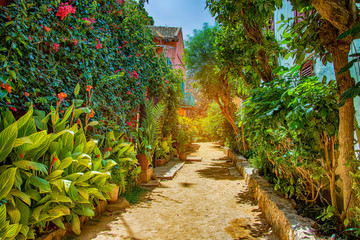 Street on Gorée island, Senegal, Africa. They are colorful stone houses overgrown with many green flowers. It is one of the earliest European settlements in Western Africa, Dakar