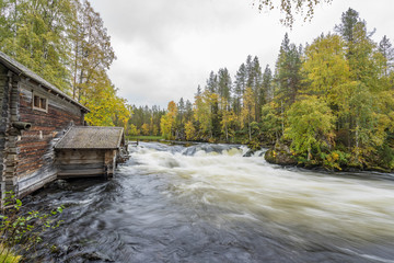 Cliff, stone wall, forest, waterfall and wild river panoramic view in autumn. Fall colors - ruska time in Myllykoski. Karhunkierros Trail, Oulanka National Park in north Finland. Lapland, Europe