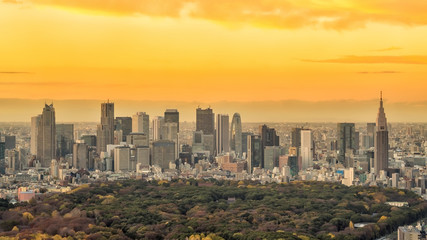 Fototapeta premium Top view of Tokyo city skyline in Japan