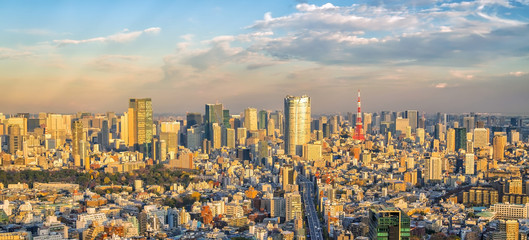 Top view of Tokyo city skyline in Japan