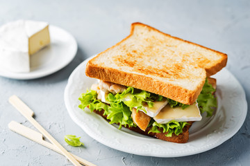 Chicken Brie cheese sandwich on the plate