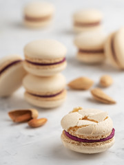 Homemade macarons with currant filling, on a light gray vintage background. Selective focus on a broken cookie. Close-up.