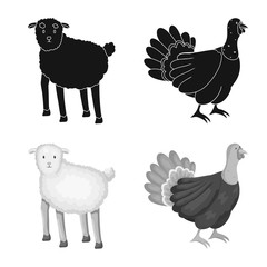 Vector design of breeding and kitchen icon. Collection of breeding and organic stock symbol for web.