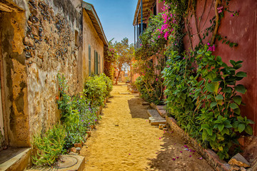 Fototapeta na wymiar Street on Gorée island, Senegal, Africa. They are colorful stone houses overgrown with many green flowers. It is one of the earliest European settlements in Western Africa, Dakar.
