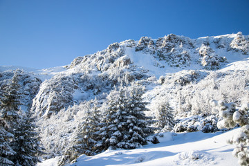 Fototapeta na wymiar Widok na góry w karkonoszach