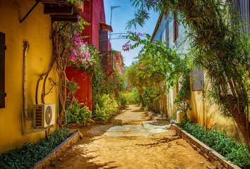 Street on Gorée island, Senegal, Africa. They are colorful stone houses overgrown with many green flowers. It is one of the earliest European settlements in Western Africa, Dakar. - obrazy, fototapety, plakaty