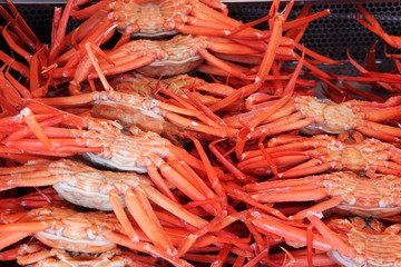 市場で売られているベニズワイガニ
