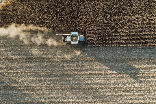 Aerial view of combine harvester moving in corn field