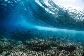 Underwater view of a wave over coral reef