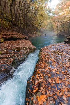 Woman paddle boarding in a fall scene on a clear river