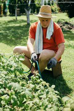 A man sitting and watering plants