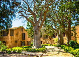 Street on Gorée island, Senegal, Africa. They are colorful stone houses and big green baobabs trees. It is one of the earliest European settlements in Western Africa, Dakar.