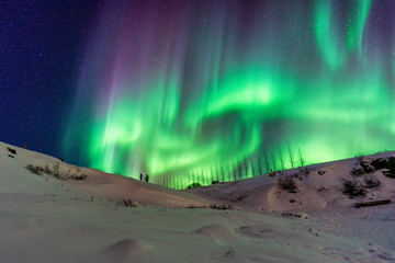 young couple standing under the green glow of the northern lights