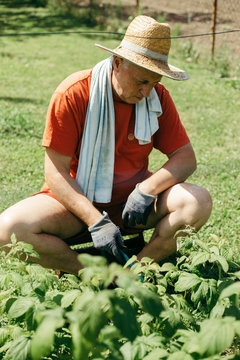 Man sitting on a chair and watering plants