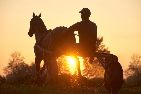 Beautiful bronze statue of a sulky harness jockey with horse in galop