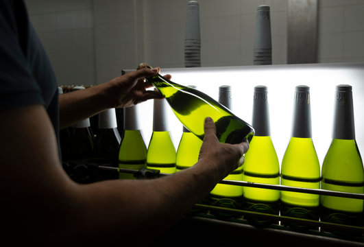 Worker carefully checking bottle at manufacture cellar