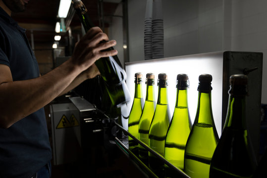 Man placing bottles on conveyor