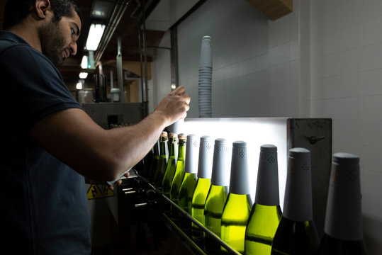 Attentive man placing foil caps on bottles