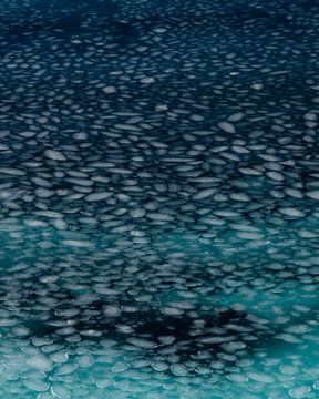 Ice forms along the Maine coast as temps drop below 0&int;
