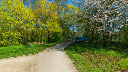 Fototapeta na wymiar Fußweg in der Mittagssonne im Frühling im Grünen der auf eine Brücke führt