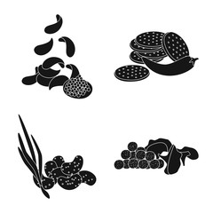 Vector illustration of ingredient and organic symbol. Set of ingredient and product stock vector illustration.