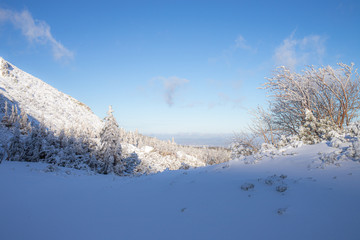Słoneczna pogoda w zimowy dzień