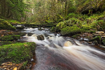 Fototapeta premium Blakehope Burn waterfalls