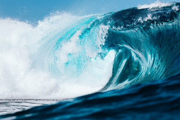 The fish through the glass wave