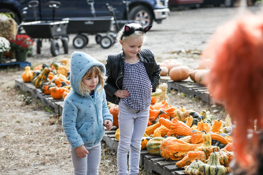 two girls in pumpkin patch looking at something out of the frame
