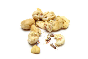 A picture of cashew nuts infested with caterpillars and butterflies of the meal moth. Isolated on a...