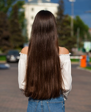 Back view female brunette hair Stock Photo | Adobe Stock