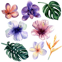 Watercolor hand painted set of 8 bright tropical flowers: hibiscus, orchid, plumeria and heliconia. Tender tropical illustrations for trendy design.