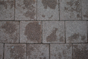 Stone brick floor