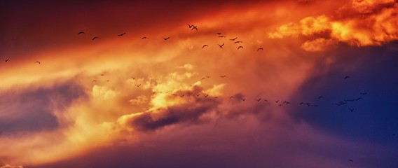 sky