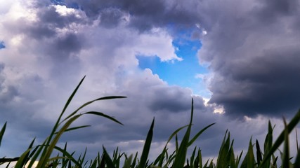 Fototapeta premium heart cloud