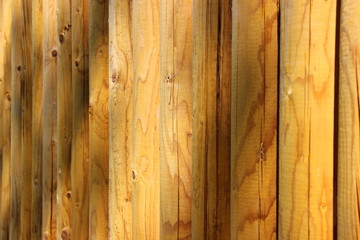 Natural vertical light wood plank background texture close up