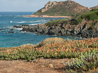 ajaccio und die Insel Korsika