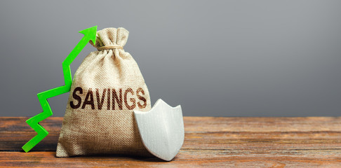 Savings bag, green up arrow and shield. Protection funds and investments, security garnishment and...