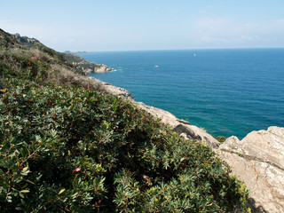 die küste von Korsika