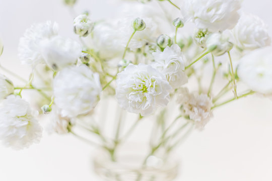 Small lush elegant white gypsophila flowers on a pastel background. The concept of spring, summer, women's day, Valentine's day, wedding, holiday, birthday. Macro photo for banners, cards, posters. © Ольга Холявина
