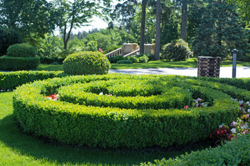 The wall consists of a green hedge. Geometric bush landscape design