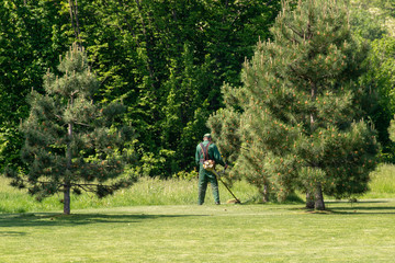 work to mow the grass trimmer. process of mowing tall grass with a trimmer.