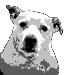 vector illustration of a dog