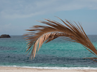die insel korsika im Mittelmeer