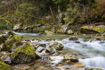 Beautiful fast mountain river in forest. Slovakia. © anatoliil