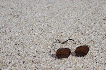 Sunglasses on beach in shells and sand