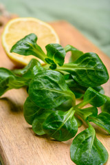 Fresh green corn salad leaves, also called nut lettuce or fields salad