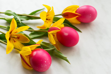Easter eggs with yellow tulips on a light  background