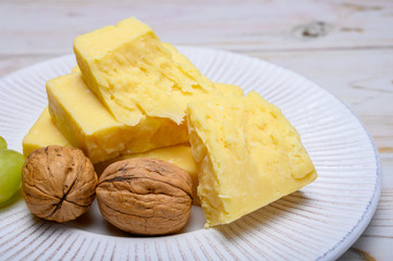 Cheese collection, blocks of matured english cheddar cheese